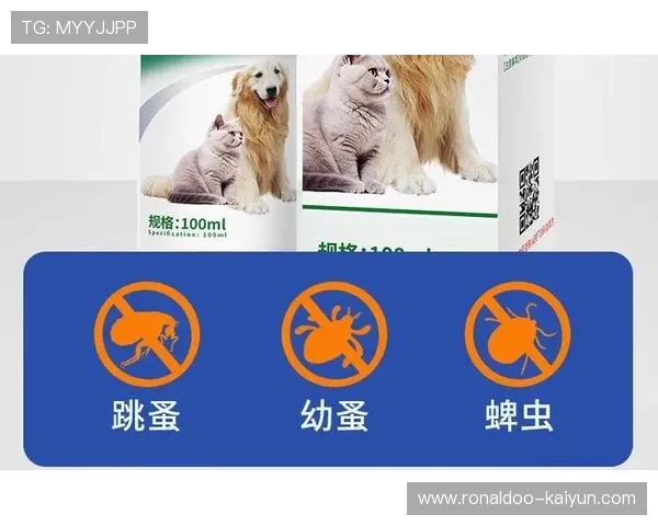 宠物驱虫药效果大比拼不同品牌优缺点全解析