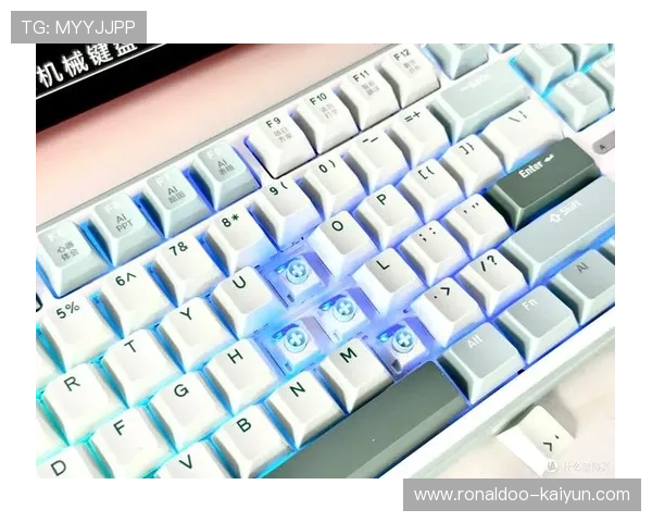 机械键盘线性轴与段落轴手感声音触发行程与游戏办公选择全面对比解析