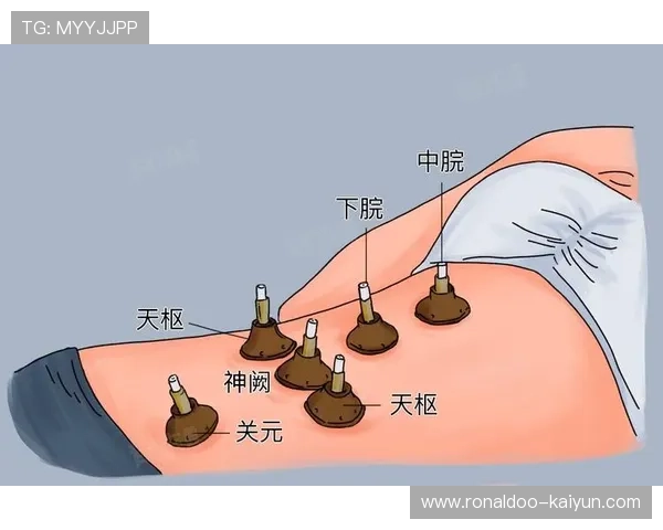 艾灸自我理疗全攻略：提升免疫力缓解疲劳的自然方法