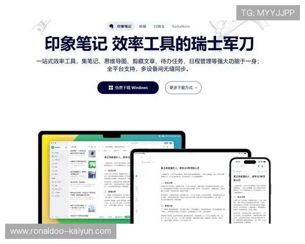远程学习协作软件价格对比及功能选择指南