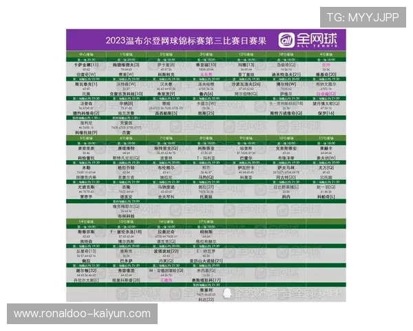 温网门票价格最新曝光 今日观赛预算及购票攻略解析